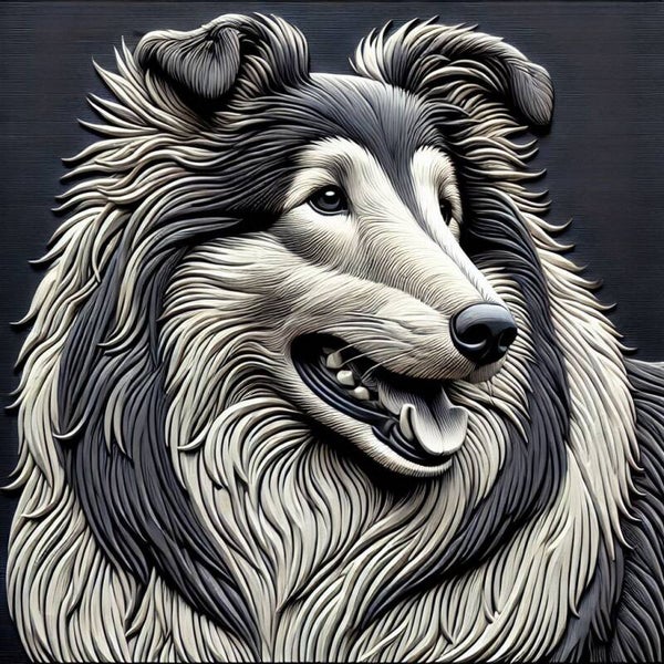 Collie 50x50cm