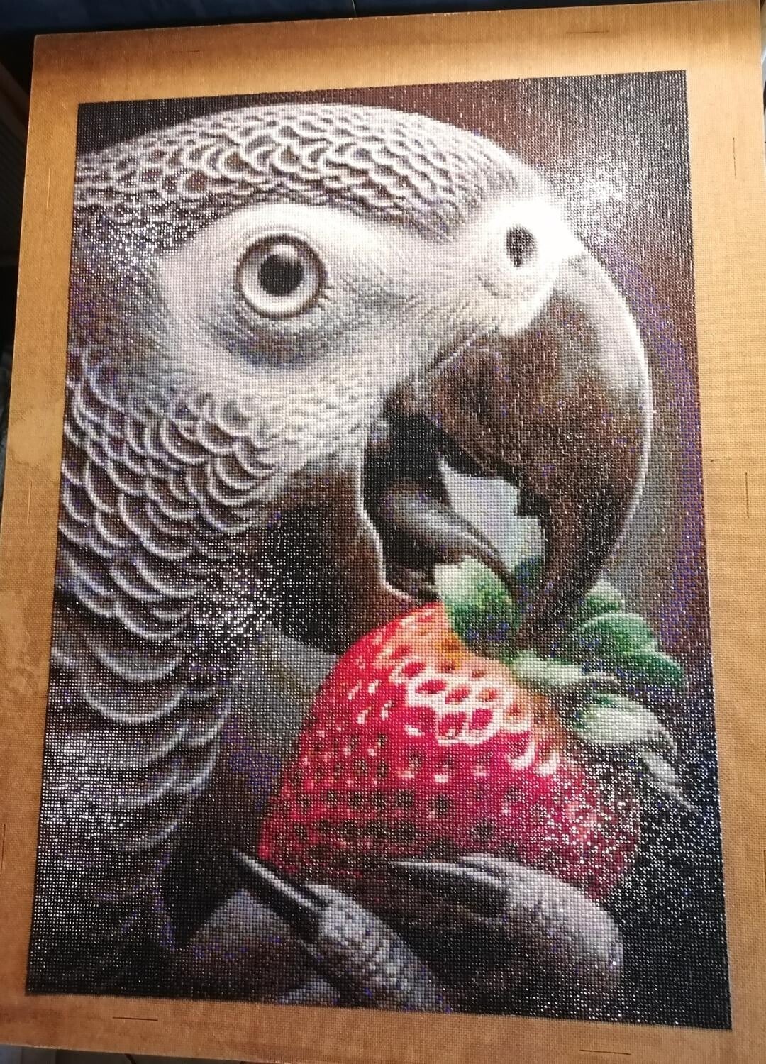 Der Graupapagei 50x70cm