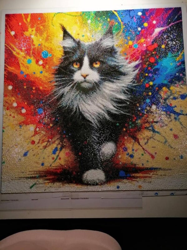Bunte Maine Coon Katze 50x50cm