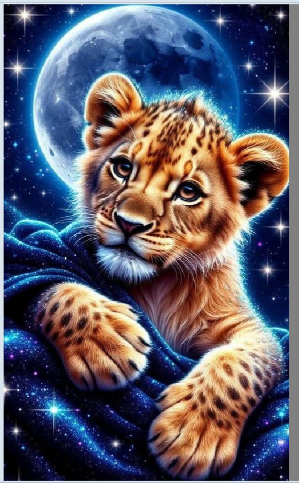 Leo 60x100cm