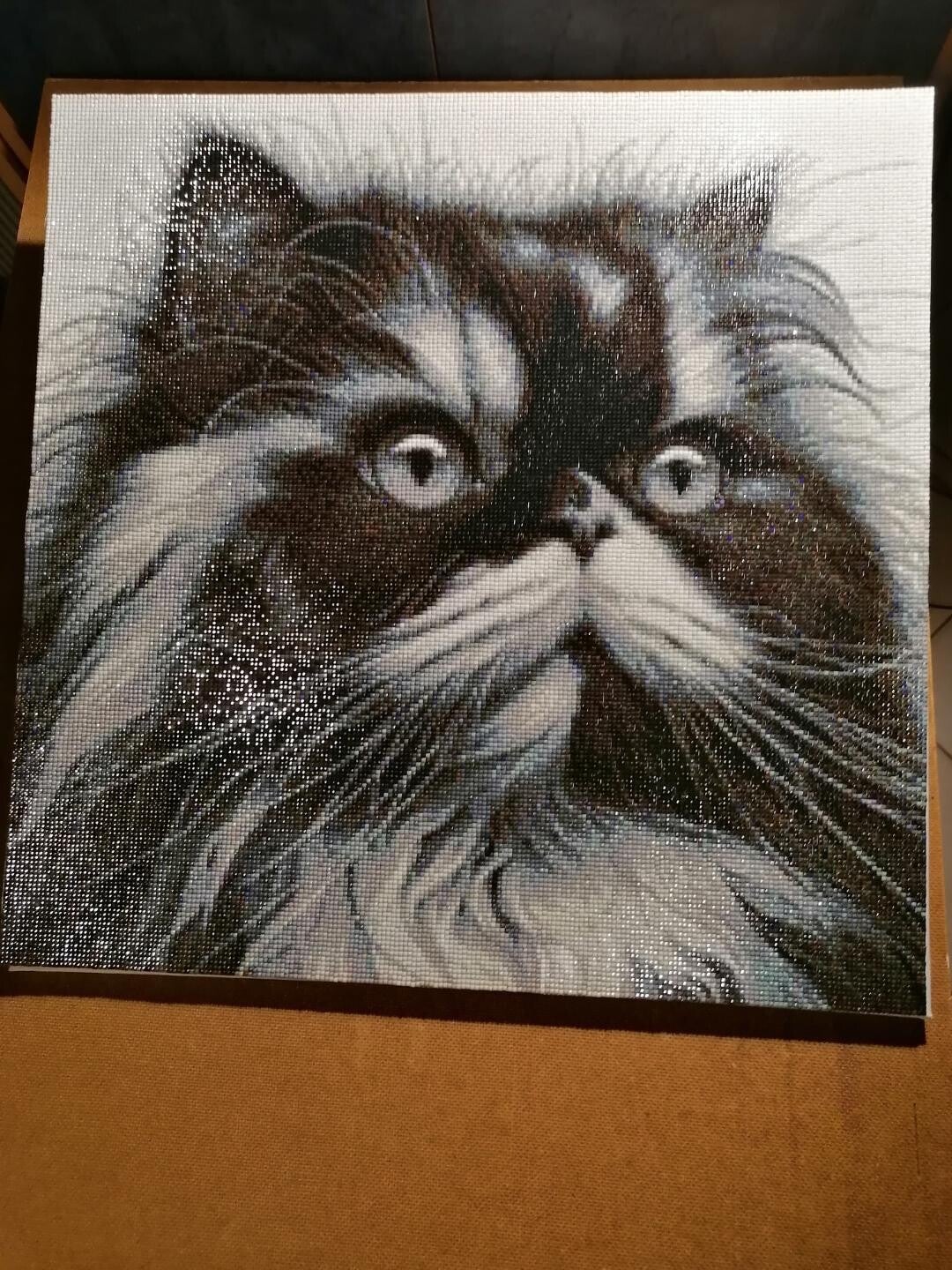 Perserkatze schwarz/weiß 50x50cm