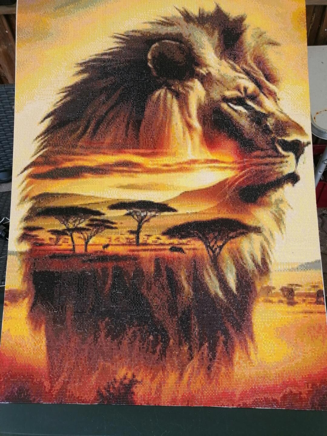 Serengeti Löwe 60x80cm