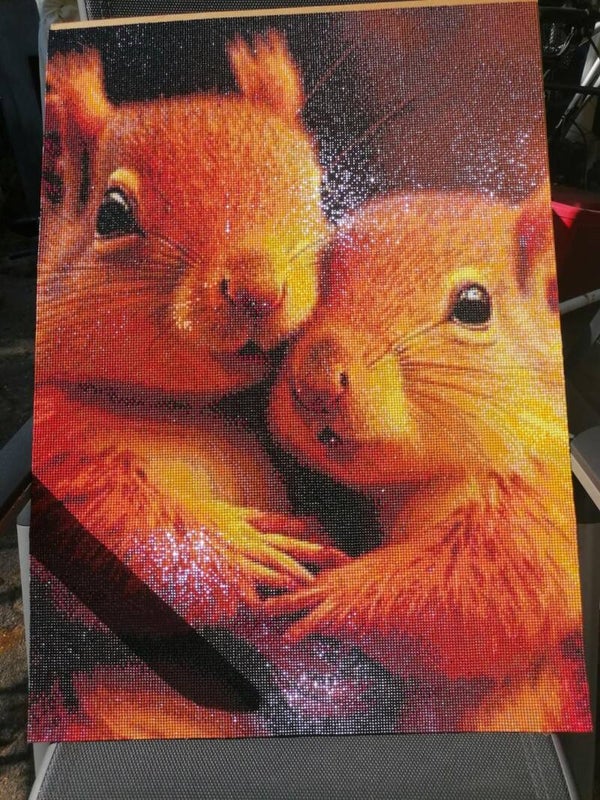 Hörnchenliebe 50x70cm