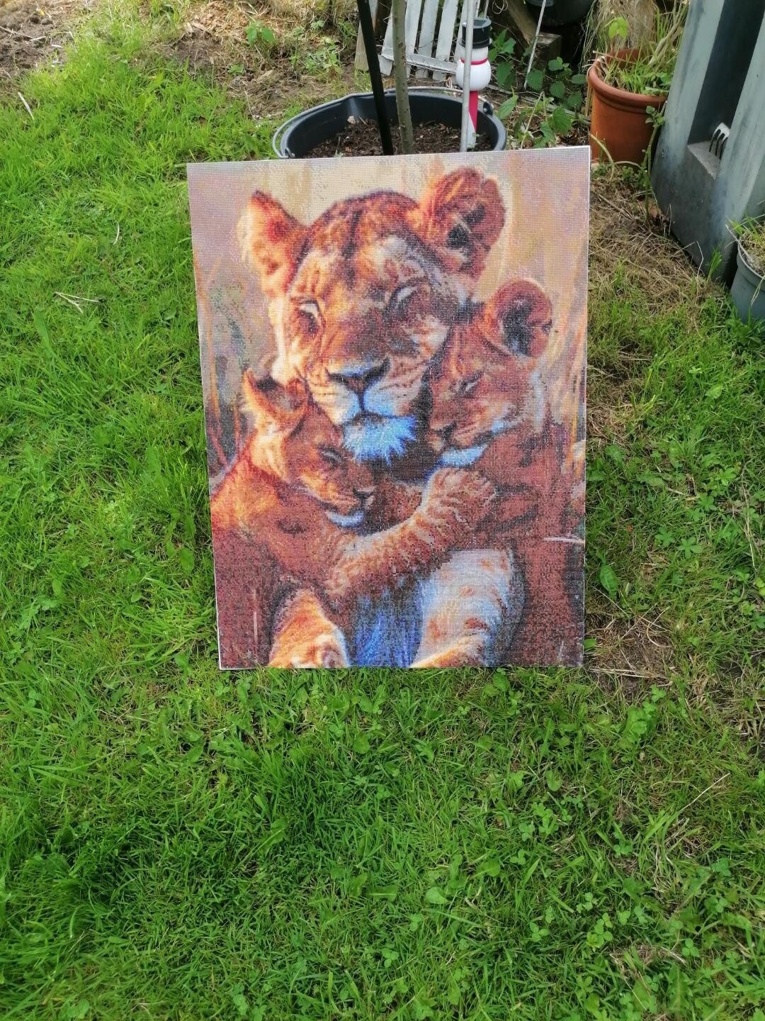 Löwenmutter mit Kids 60x80cm