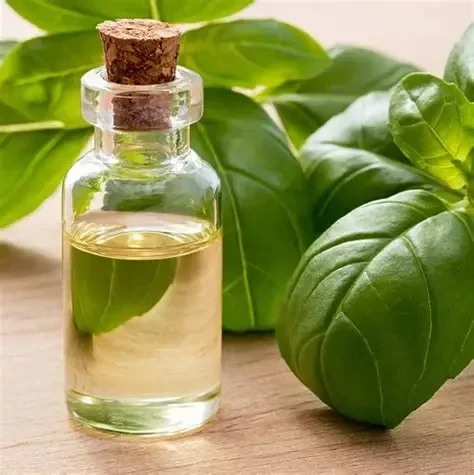 HE Basilic Exotique (Ocimum Basilicum CT méthylchavicol) BIO 10ml