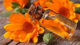 HV Calendula BIO 100ml
