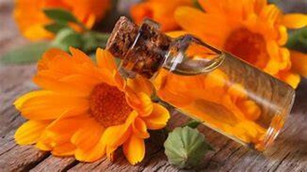 HV Calendula BIO 100ml