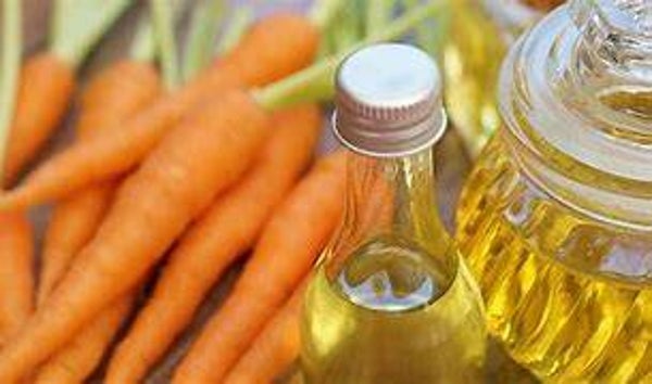 HV Carotte BIO 100ml