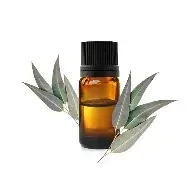 HE Eucalyptus citronné (Eucalyptus Citriodora) BIO 10ml