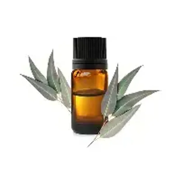 HE Eucalyptus citronné (Eucalyptus Citriodora) BIO 10ml