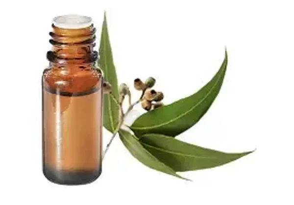 HE Eucalyptus Globuleux (Eucalyptus Globulus) Bio 10ml