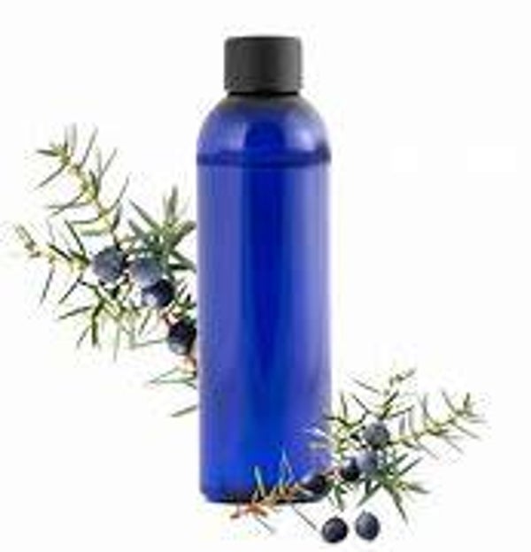 Genévrier commun BIO 100ml