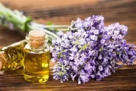 HE Lavande Aspic (Lavandula Latifolia Spica) BIO 10ml