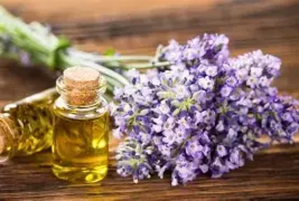 HE Lavande Aspic (Lavandula Latifolia Spica) BIO 10ml