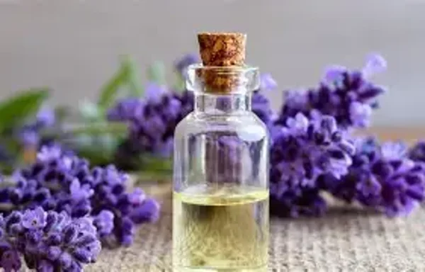 HE lavande Vraie  (Lavandula Angustifolia) BIO 10ml