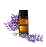 HE Lavandin Grosso (Lavandula Intermedia) Bio 10ml