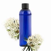 Lédon du Groenland BIO 100ml