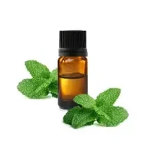 HE Menthe poivrée (Mentha Piperita) 10ml
