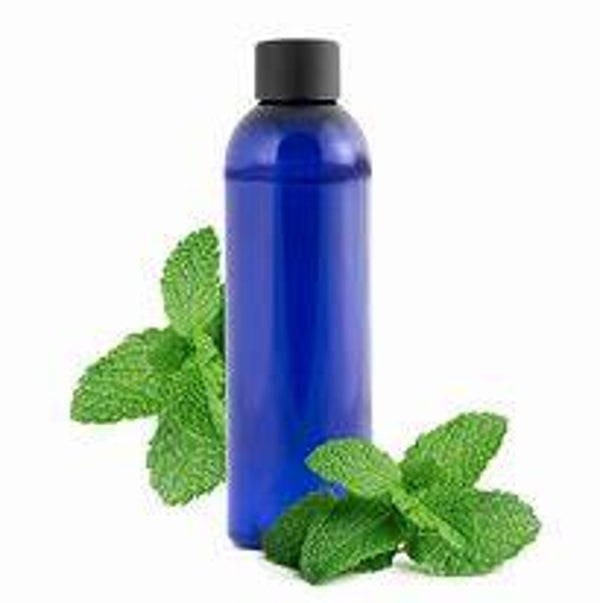 Menthe poivrée BIO 100ml