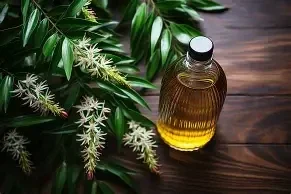 HE Niaouli (Melaleuca quinquenervia CT cinéole) 10ml