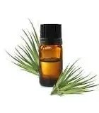 HE Palmarosa (Cymbopogon Martinii) BIO 10ml