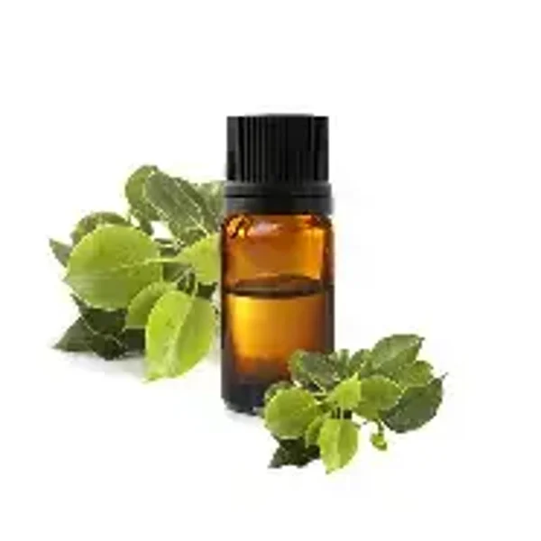 HE Ravintsara (Cinnamomum Camphora CT cinéole)BIO 10ml