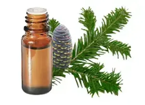 HE Sapin de Sibérie (Abies Sibirica) 10ml