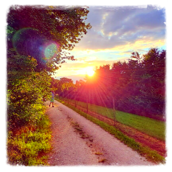 Ein Tag für Herz und Seele