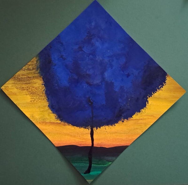 'Die ene boom' No 20