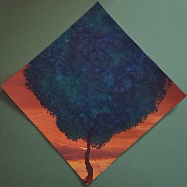 'Die ene boom' No 24.