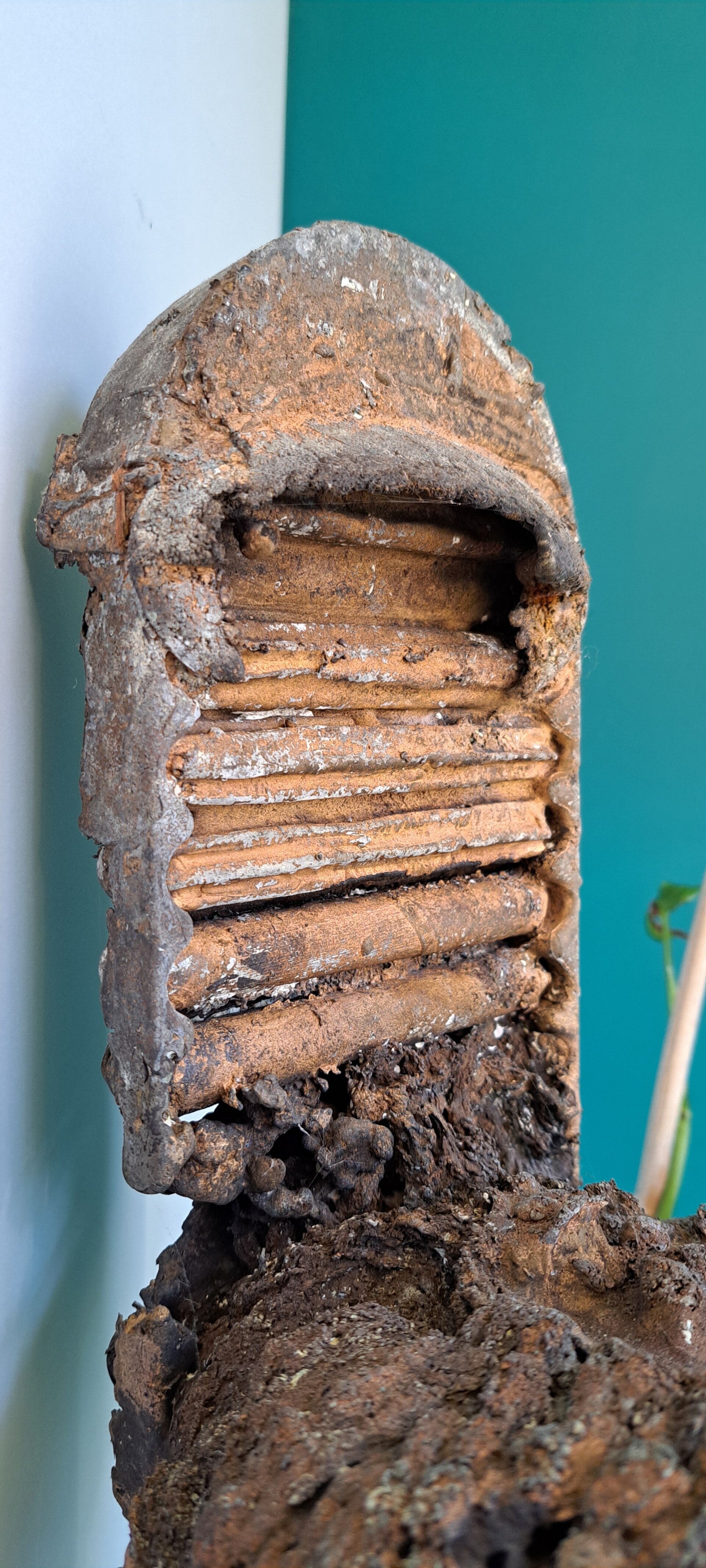 Brons: NOZ! (Niet Op Zitten!)