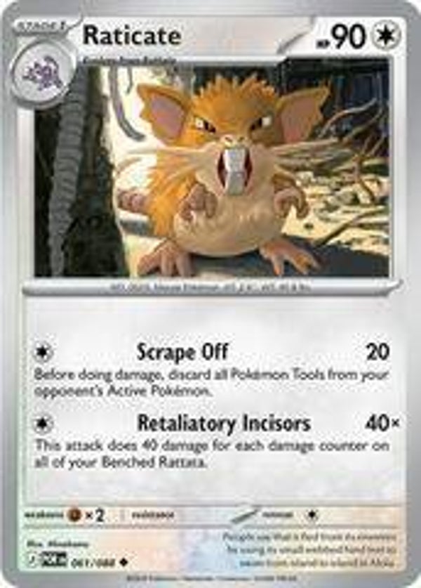 Raticate 061/088