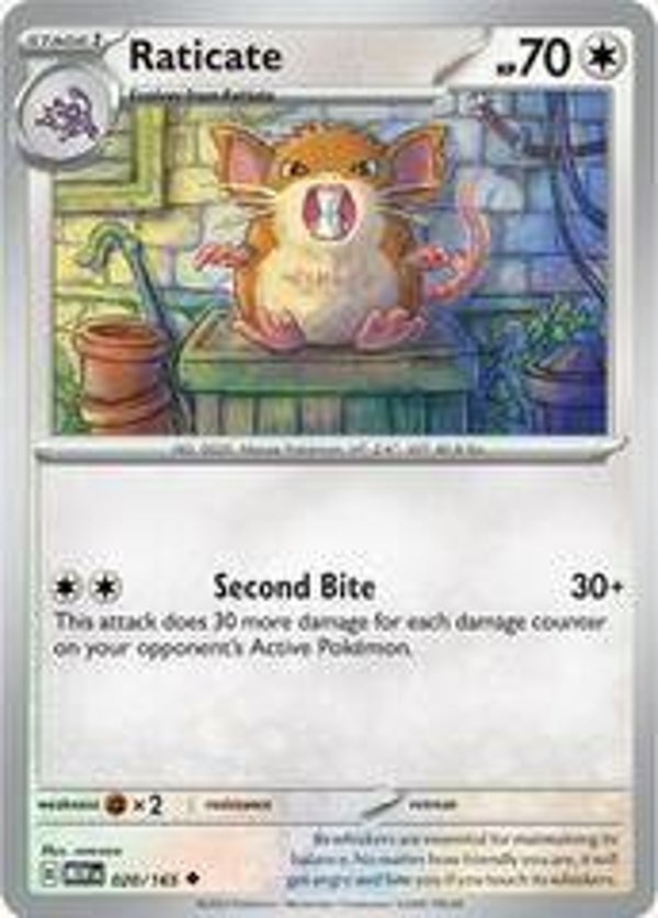 Raticate 020/165