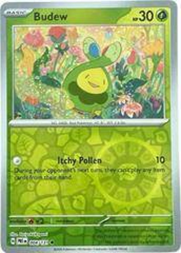 Budew 004/131