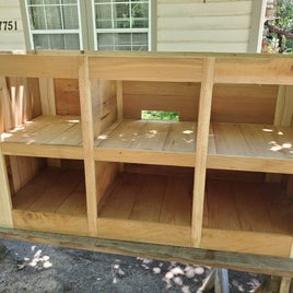 20190712_124442-standard.jpg
