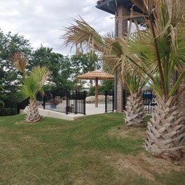 palapa5.jpg