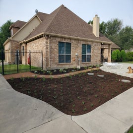 plant-path1.jpg