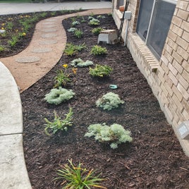 plant-path8.jpg