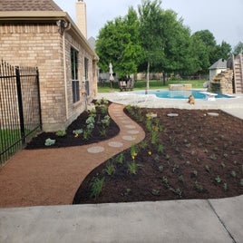 plant-path2.jpg