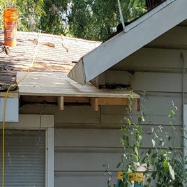 roof3.jpg