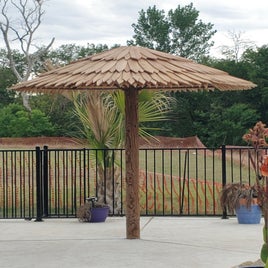 palapa3.jpg