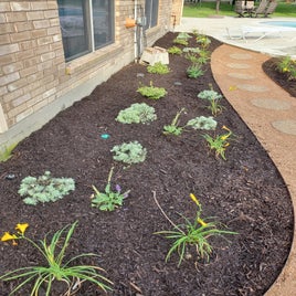 plant-path5.jpg