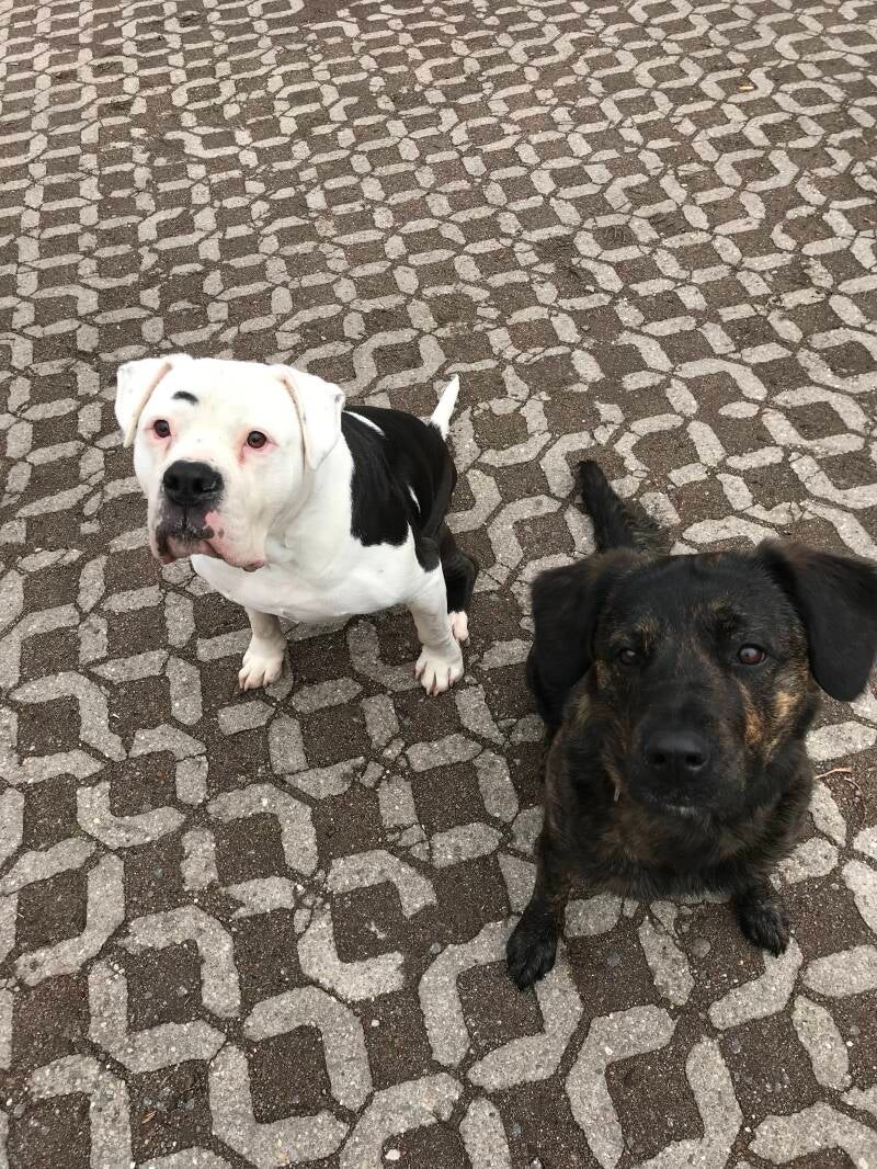 Oskar &amp; Stella