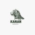 SEGUROS KANAN