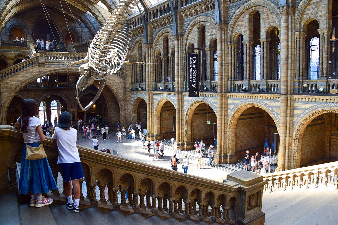 La spettacolare Hintze Hall al Museo di Storia Naturale di Londra