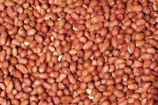 H.G.K Peanuts 25KG