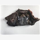 Cows Nose (C-A0124)