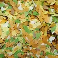 HGK Pond Flake. (C-PC16/17)