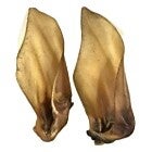 Buffalo Ears (C-A0125)