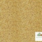 White Millet (C-BRD09A)